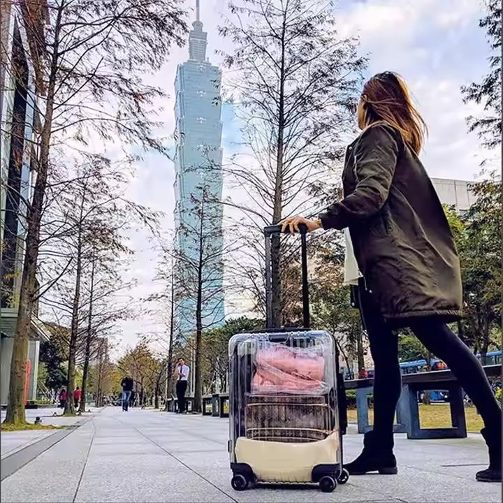 Clear Carry-On Luggage